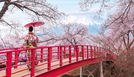 JAPÓN: COLORES MÁGICOS ESPECIAL SAKURA 2027 JAPÓN: COLORES MÁGICOS ESPECIAL SAKURA 2027