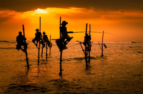 SRI LANKA MARAVILHOSO SRI LANKA MARAVILHOSO