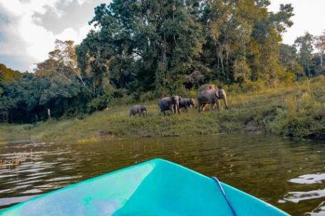 SRI LANKA, DESCUBRE GAL OYA SRI LANKA, DESCUBRE GAL OYA