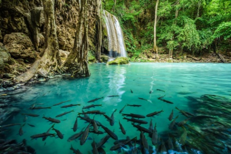 GRAN TAILANDIA CON P.N. ERAWAN GRAN TAILANDIA CON P.N. ERAWAN