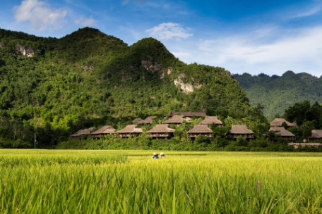 VIETNAM: NATURAL Y CULTURAL VIETNAM: NATURAL Y CULTURAL