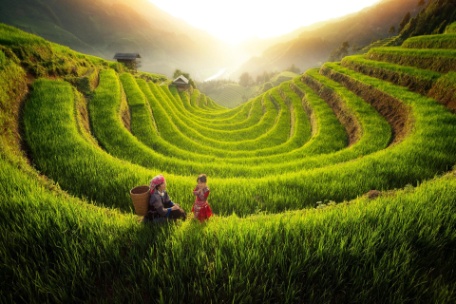 VIETNAM CON SAPA EN LA MEJOR ÉPOCA PARA VER ARROZALES VIETNAM CON SAPA EN LA MEJOR ÉPOCA PARA VER ARROZALES
