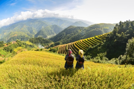 VIETNAM SORPRENDENTE CON SAPA VIETNAM SORPRENDENTE CON SAPA