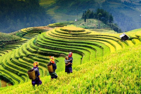 ENCANTOS DE VIETNAM CON SAPA ENCANTOS DE VIETNAM CON SAPA