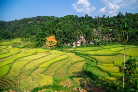 VIETNAM CON MAI CHAU, PULONG Y NINH BINH VIETNAM CON MAI CHAU, PULONG Y NINH BINH