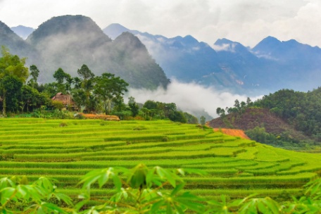 ENCANTOS DE VIETNAM CON PULONG Y NINH BINH