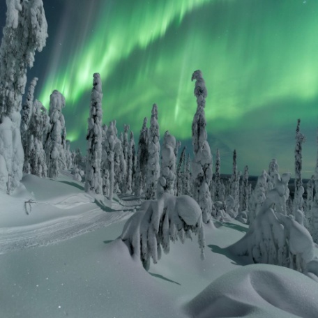 espectaculares-auroras-boreales-laponia-bosque-nevado