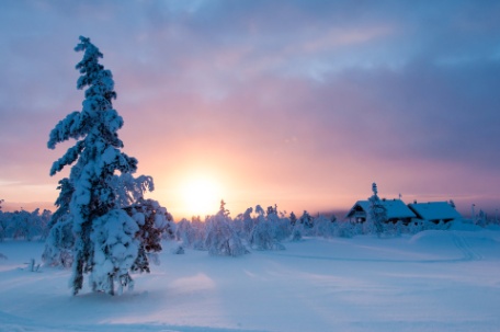 ESCAPADA A SAARISELKÄ (Laponia Finlandesa) ESCAPADA A SAARISELKÄ (Laponia Finlandesa)