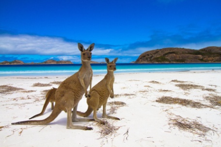 CONTRASTES AUSTRALIANOS CONTRASTES AUSTRALIANOS