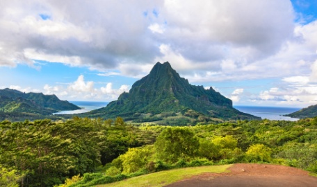 Descubra Moorea Descubra Moorea