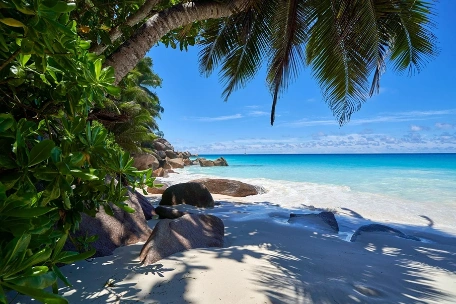 PRASLIN PRASLIN