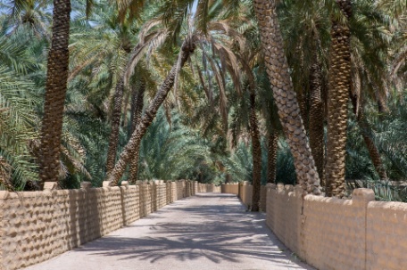 DUBAI & DESERTO DE AL AIN DUBAI & DESERTO DE AL AIN