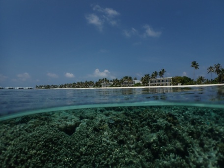 MALDIVAS CON TURKISH AIRLINES EN HOTEL OUTRIGGER MAAFUSHIVARU MALDIVAS CON TURKISH AIRLINES EN HOTEL OUTRIGGER MAAFUSHIVARU