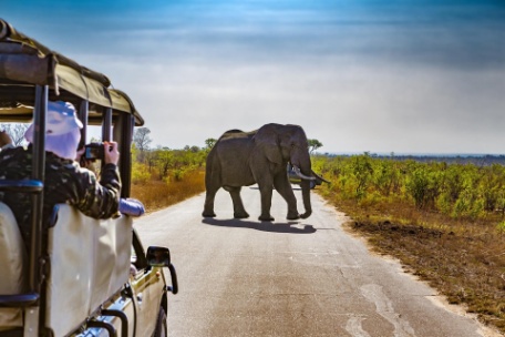 KRUGER ESSENCIAL EM RESERVA PRIVADA KRUGER ESSENCIAL EM RESERVA PRIVADA