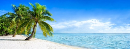 shutterstock_1348077143