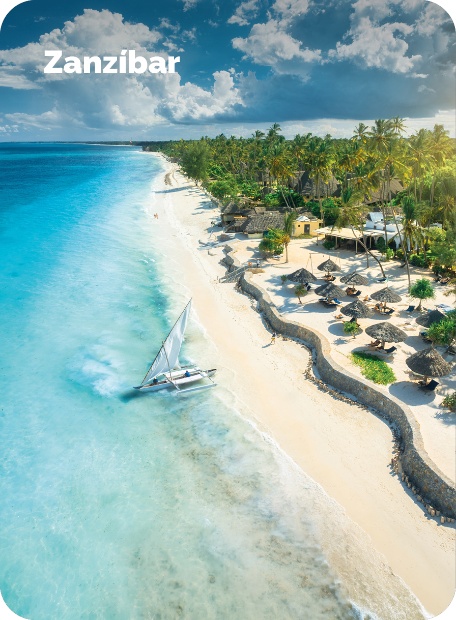 Cards_Campanaa-geneurica_ultimas-horas_Agosto_Zanzibar