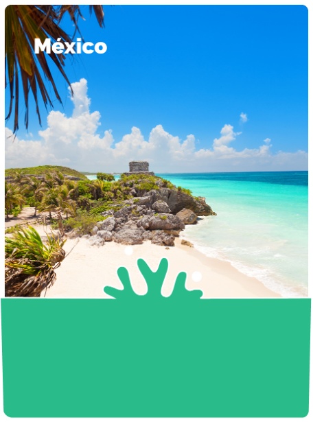 Cards_ultimas-horas_Agosto_Mexico