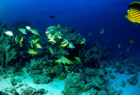 ISTAMBUL & HURGHADA ISTAMBUL & HURGHADA