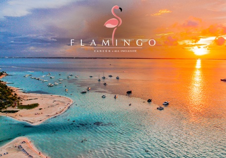 cancun_flamingo