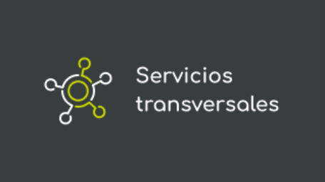 Serviciostransversales-1