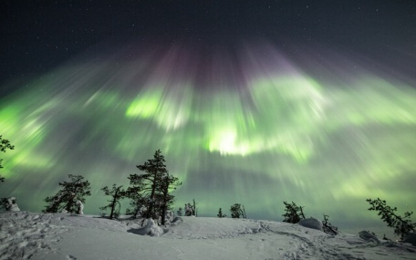 Aurora Viewing & Dining Experience
