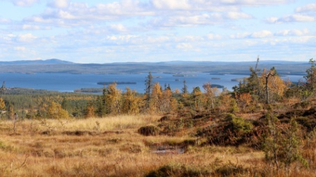 Senderismo por el parque Riisintunturi