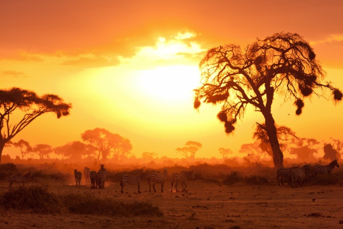 ext-tipico-atardecer-africano-masai-mara