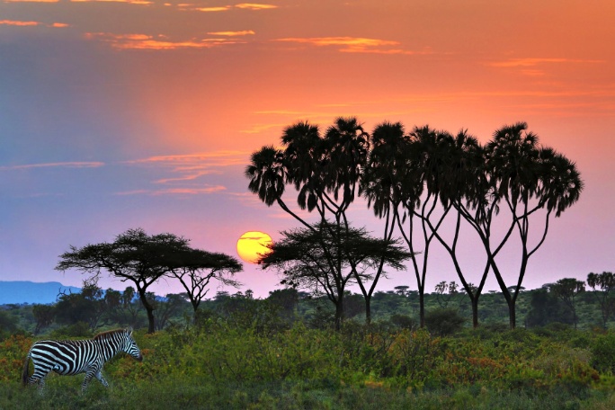 ext-amanecer-samburu-kenia