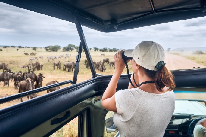 ext-turista-safari-serengeti