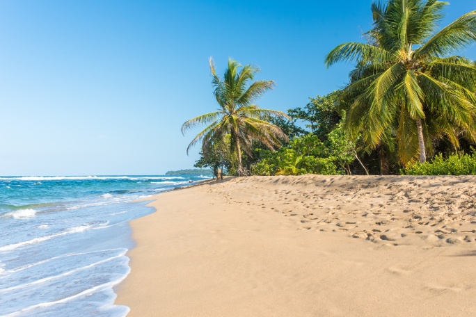 costa-rica-puerto-viejo-playa-salvaje-caribe