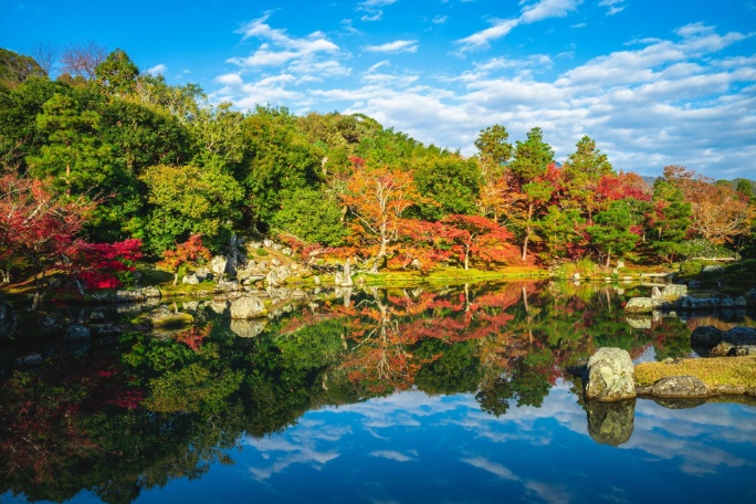 ext-bosque-arashiyama-kioto
