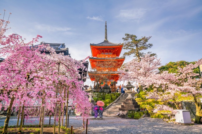 japon-tokio-templo-kiyomizu-dera-flor-cerezo