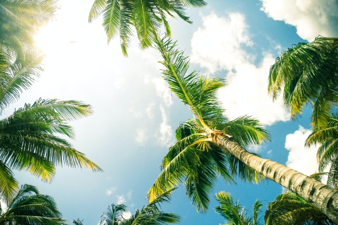 Úbico Sports gestionará los desplazamientos del Lenovo Tenerife