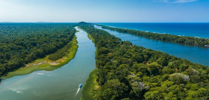 Parque_Nacional_Tortuguero_6