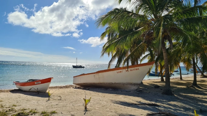 saona-republica_dominicana