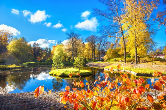 hermoso-paisaje-jardin-japones-parque-kadriorg-otono