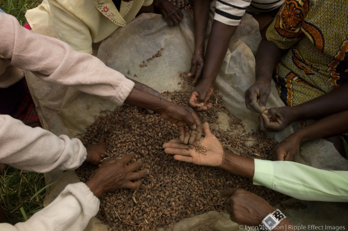 Community-Reforestation-in-Uganda