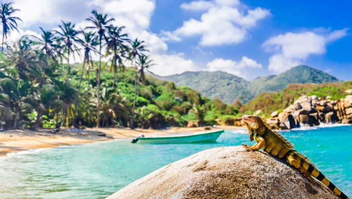 playas-Parque-Nacional-Tayrona-en-Colombia