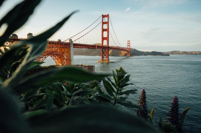 puente golden gate san francisco visto desde parque en la ciudad