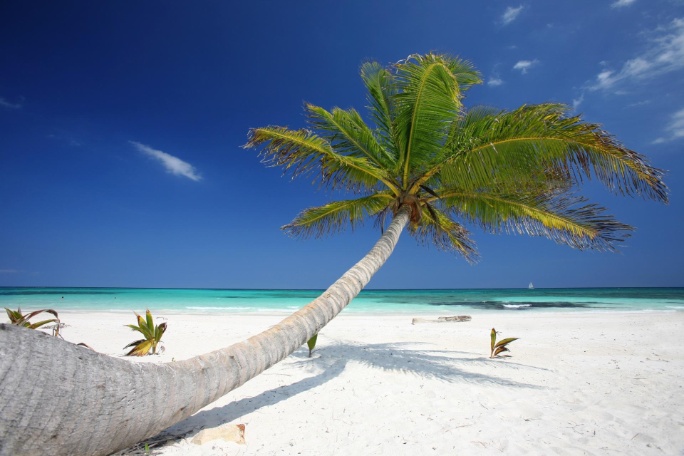 shutterstock_105012737