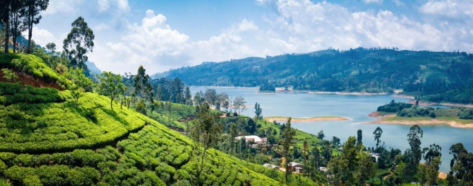 Sri Lanka. La Perla del Índico