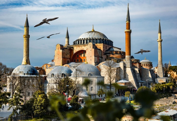 Mezquita-Azul-con-pajaros