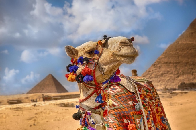 Egipto fascinante