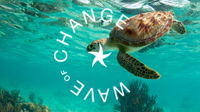 Logo de Iberostar - Wave of Change Logo de Iberostar - Wave of Change