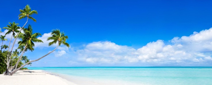 shutterstock_1396844525