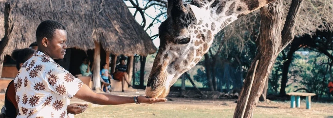 que-hacer-kenia que-hacer-kenia