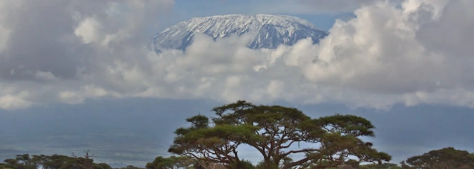 quever-kenia quever-kenia