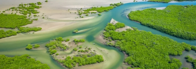 viajar a senegal viajes a africa viajar a senegal viajes a africa