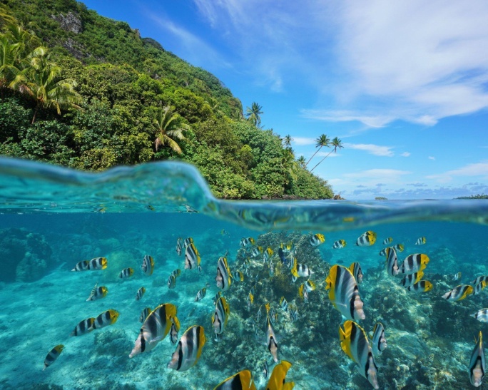 Huahin_Polinesia_4