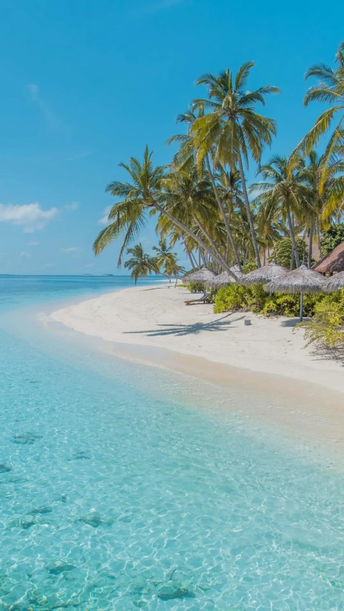 Estilo_Playas-Paradisiacas